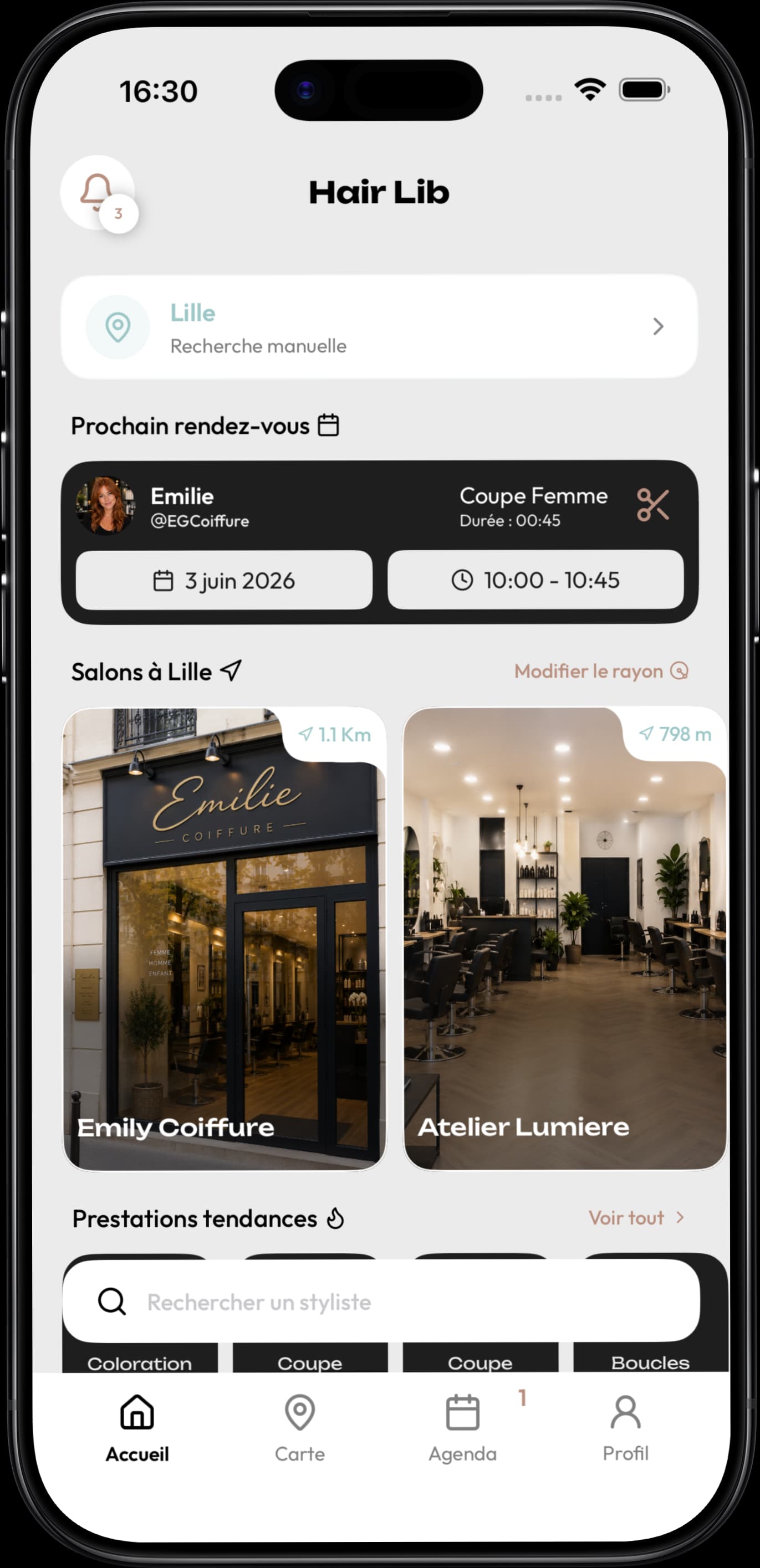Écran Hair Lib de recherche locale
